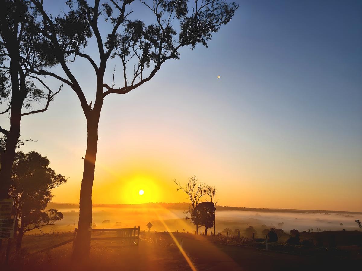 Sun Kissed Mist