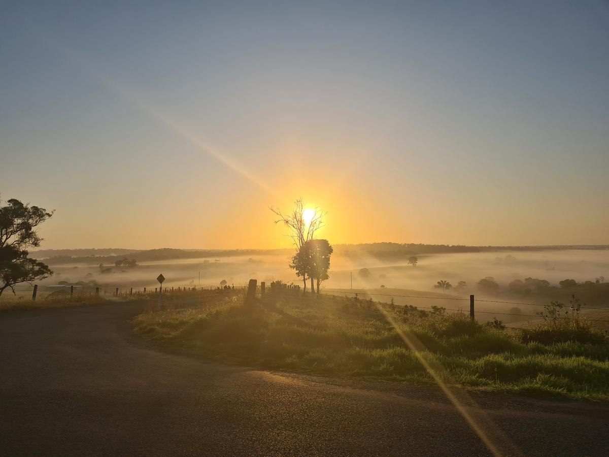 Morning's Glory